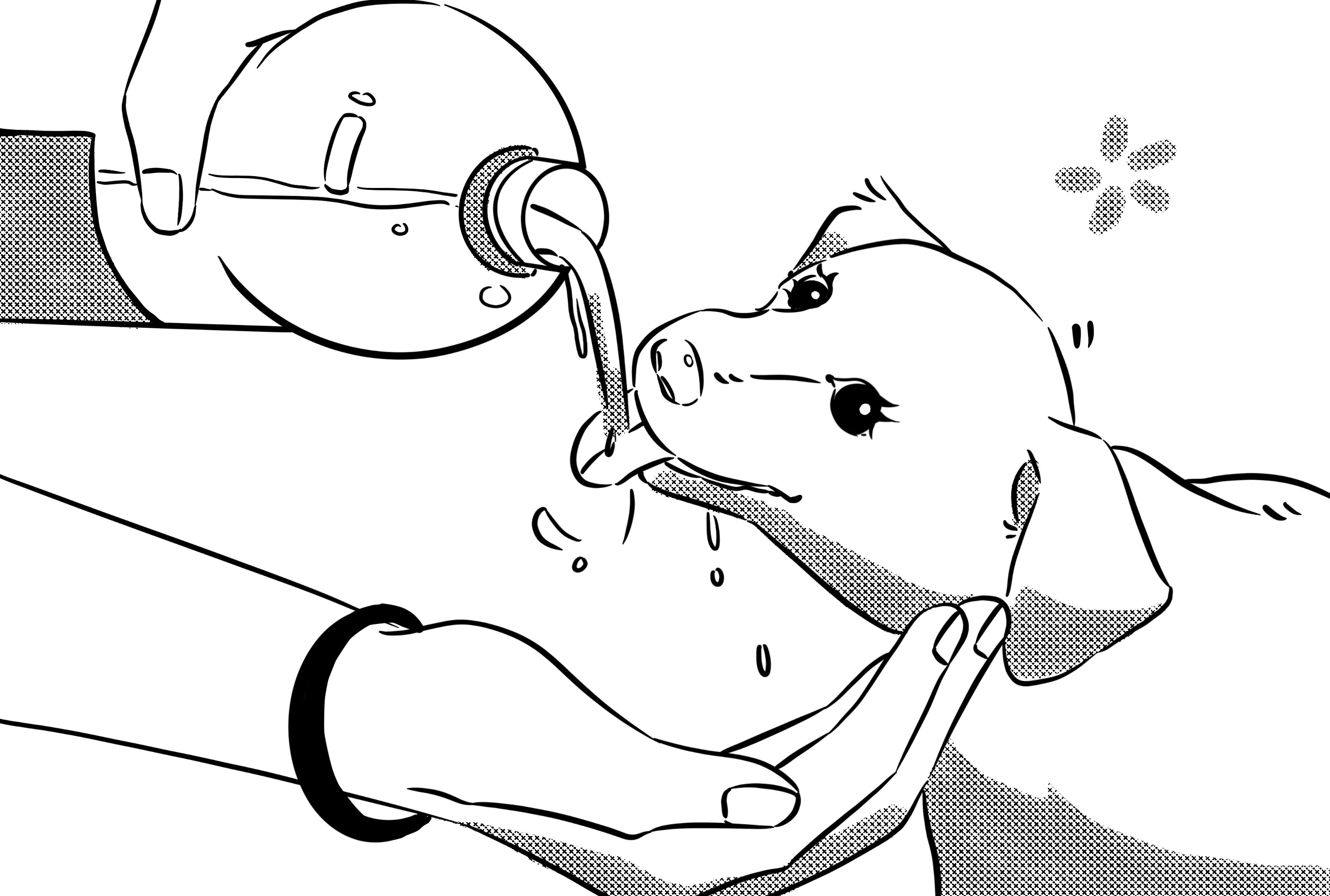 a dog is drinking water from a bottle happily